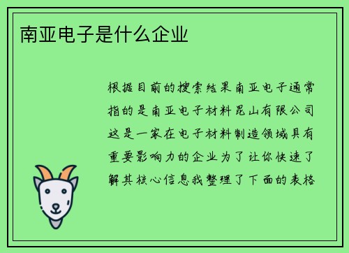 南亚电子是什么企业